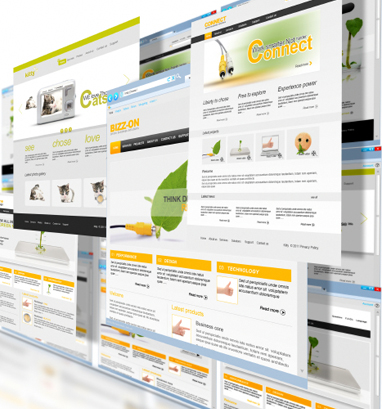 corporate website or intranet